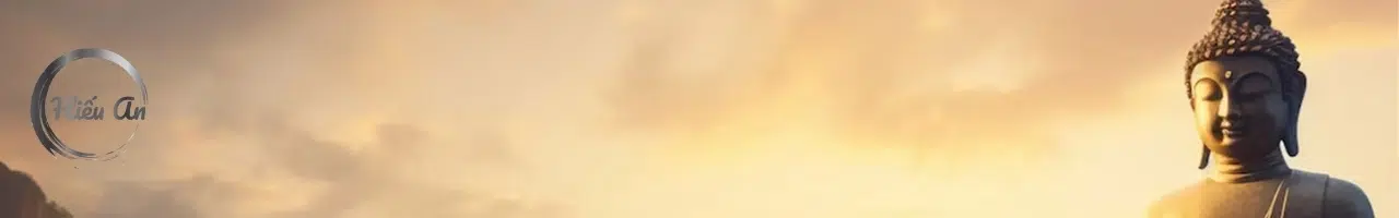 Cam kết của Hiếu An: